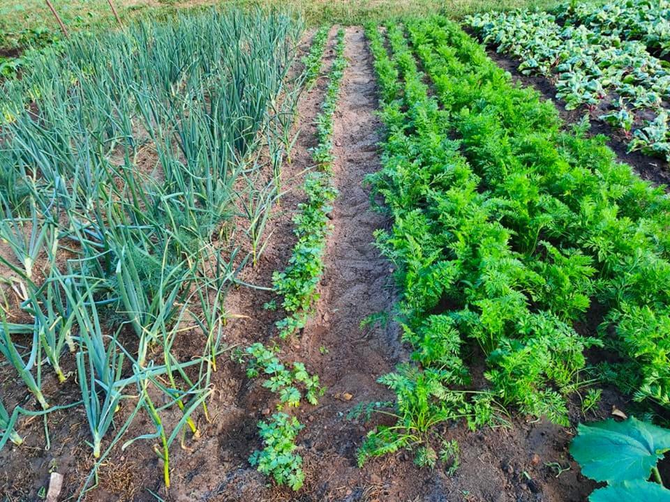 Agrowinnica Borzytuchom Exterior foto
